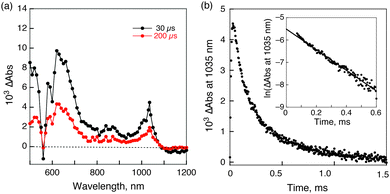 (a) Transient absorption spectra of (ZnTPPS4−–Li+@C60)n in deaerated MeCN–PhCN (3 : 1 v/v) taken at 30 μs (black) and 200 μs (red) after laser excitation at 550 nm. (b) Time profile at 1035 nm. Inset: first-order analysis.