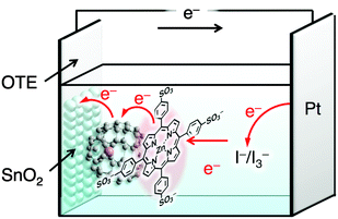 Schematic image of a photoelectrochemical cell of OTE/SnO2–MTPPS4−–Li+@C60.