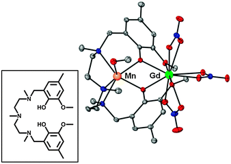 Perspective view of the molecular structure of 1. H-atoms are omitted for clarity. Colour code: N = blue, O = red, Mn = orange, Gd = green, C = grey. The inset shows the H2L pro-ligand.