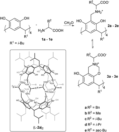 Synthesis and structure of “reversed” capsules.