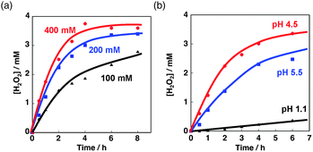 (a) Time courses of H2O2 production by photoirradiation (λ > 340 nm) of an aqueous suspension containing (COO−)2 (400 mM, red; 200 mM, blue; 100 mM, black, [(COOK)2]/[(COOH)2] = 3) and the QuPh+–NA@sAlMCM-41 composite ([QuPh+–NA]: 0.2 mM). (b) Time courses of H2O2 production under different pH conditions. The pH value of each aqueous medium was controlled to 1.1 (black), 4.5 (red) or 5.5 (blue) by changing the ratio of (COOH)2 to (COOK)2. The total concentration of the oxalate anion was fixed at 200 mM.