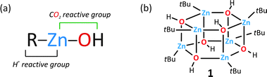 (a) Presentation of reactive species in an RZnOH type compound and (b) representative alkylzinc hydroxide 1.