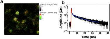 (a) Confocal fluorescence microscopy image of a Si NT array infiltrated with Ru(bpy)32+; λex = 470 nm; field of view = 5 × 5 μm. (b) Corresponding fluorescence decay curve and associated residual analysis of the two exponential fit of the decay curve. The black trace is the collected data, the red trace is the instrument response function calculated by the software, and the blue trace is the exponential decay fit.