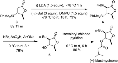 Catalytic asymmetric approach to (+)-blastmycinone.