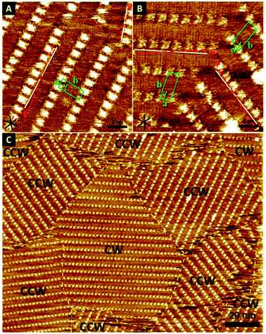 STM images of chiral porphyrin (A) (R)-2 physisorbed at the (R)-2-octanol/HOPG interface and (B) (S)-2 physisorbed at the (S)-2-octanol/HOPG interface. The black solid lines indicate the direction of the main symmetry axes of the underlying graphite. The dashed red lines indicate the reference axis of graphite 〈−1 1 0 0〉. The white lines indicate the lamellar direction. Unit cells are indicated in green. φ is the angle between the reference axis and the unit cell vector a. The yellow arrows display the rotation direction. (C) Large scale STM image of (S)-2 at the (S)-2-octanol/HOPG interface. Domain boundaries are indicated by dashed yellow lines. Both CW and CCW domains are present. Tunnelling parameters are Iset = 280 pA and Vbias = −230 mV.