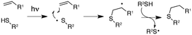 Proposed mechanism of the thiol-ene reaction.15