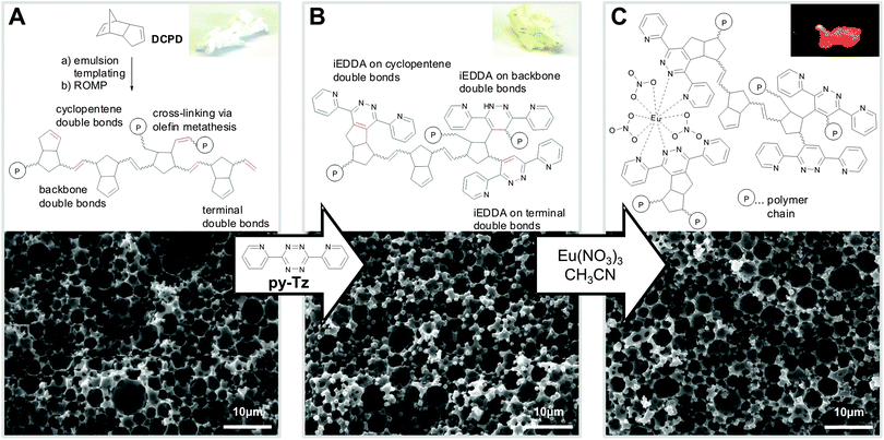 Representative chemical structures, SEM micrographs and photographs of (A) pDCPD foam, (B) after modification with 0.5 equiv. of pyTz (3,6-di(pyridin-2-yl)-1,2,4,5-tetrazine) and (C) after impregnation with Eu(NO3)3 (photograph taken under UV light (λ = 365 nm)).