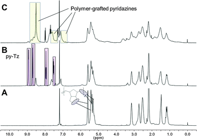1H-NMR spectra of oligo-DCPD in CDCl3 (A) before, (B) 1 h and (C) 24 h after addition of pyTz (0.5 equiv., rt).