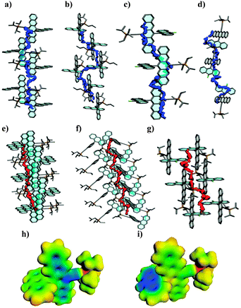 Electron transfer pathways for (a) 1a, (b) 1b, and (c and d) 1c. Hole transfer pathways for (e) 1a, (f) 1b, and (g) 1c. (h) Molecular electrostatic potential (MEP) mapped on the electron density isosurface of the 1c radical anion, and (i) MEP mapped on the first excited state of the 1c radical anion (MEP maps: electron density isovalue is 0.017 e−1 Å−3, potentials are mapped from −0.45 (blue) to 0.1 (red) Ha e−1).