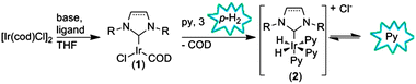 Formation of active hyperpolarization transfer catalyst 2 from 1 and polarization transfer to pyridine (Py).