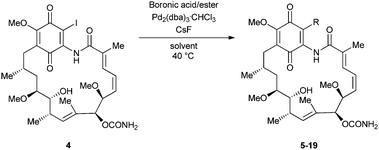 Scope of the Suzuki–Miyaura coupling reaction; synthesis of 19-substituted geldanamycins 5–19.