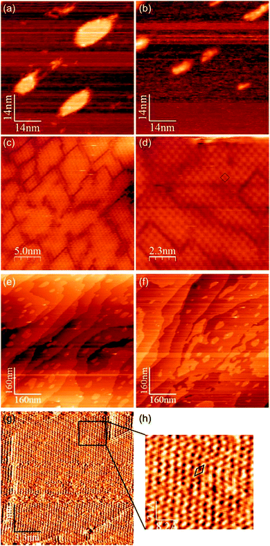 STM images showing topographical effects of HCl adsorption at Cu(100) surfaces with two different concentrations of Au adsorbed: σAu = 7.8 × 1014 cm−2 images (a)–(d). (a) Cu–Au alloy islands before HCl exposure, (b) during exposure to HCl at 1 × 10−8 mbar, the islands have disintegrated as Cu is extracted by reaction with HCl. (c) and (d) Images recorded after ∼200 L Cl showing the square lattice consistent with a c(2 × 2) Cl(a) adlayer. σAu = 1.7 × 1015 cm−2, images (e)–(h). (e) and (f) Before and after exposure to HCl showing large scale island sintering and step movement. (g) and (h) Close up images showing atomic resolution of the hexagonal lattice consistent with a Au(111) surface.