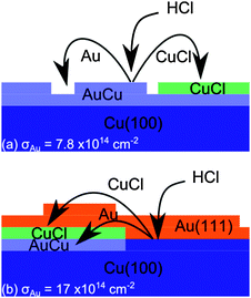 Models for the adsorption of HCl on Cu(100) surfaces in the presence of (a) monolayer and (b) multi-monolayer coverages of Au. In both cases the XP spectra (Fig. 1) suggest a CuCl state and a buried Cu–Au alloy.