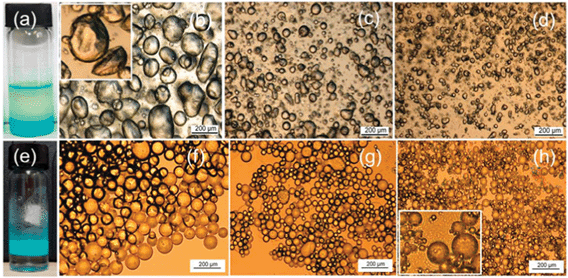Cu-BTC particles stabilise both water-in-oil and oil-in-water emulsions. Top: (a) water-in-oil emulsion (1.0 ml of aqueous suspension in 3.0 ml of oil), with MOF particle concentrations: (b) 0.8 wt%; (c) 1.6 wt% and (d) 3.2 wt%. Lower: (e) oil-in-water emulsions; (f) 1.0 ml of oil and 0.8 wt% MOFs; (g) 1.0 ml of oil and 1.8 wt% MOFs; (h) 0.5 ml of oil and 1.8 wt% MOFs, in 2.0 ml of aqueous phase.