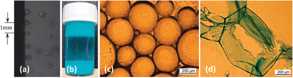 Oil-in-water emulsions were produced by a rotating membrane emulsification method. (a) Droplet formation process through the membrane rotating at 300 rpm (recorded by a high speed camera at 3000 frames per s); (b) emulsion sample (top layer: oil droplets; middle layer: aqueous phase and bottom layer: excess particles); (c) the formed oil droplets in a range of 200–300 μm; (d) the MOF particle film formed on the droplet surface.