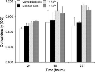 Optical density of MTS assays with unmodified and maltol-modified HT29 cells in the absence (white/black) and presence (shaded) of 50 μM Fe3+ after 24, 48 and 72 h incubation. Data shown as mean ± standard error of three independent experiments.