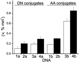 EET from donors (DN and AA) to BrdU in DNA1–DNA4 as indicated by strand scission after UV irradiation and piperidine treatment. Initial scission rates (vi) were obtained by linear fitting of % scission vs. time (ESI). Each analysis was repeated a minimum of three times and error bars represent their standard deviation.