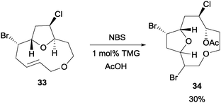 NBS initiated transannular oxonium ion formation–fragmentation.