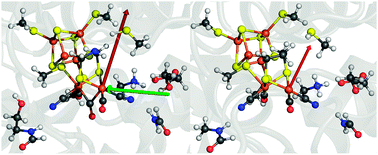 Left: 96-atom QM model of the active site extracted from Clostridium pasteurianum (pdb code: 3C8Y). The red arrow represents the effective field vector of the protein surrounding at Fed (E⃑0prot) and the green arrow indicates the arbitrarily chosen external field along the Fe–Fe bond (E⃑Fe–Fe). Right: corresponding presentation for Desulfovibrio desulfuricans (pdb code: 1HFE), where the red arrow again represents the effective field at Fed. Color code: C, grey; Fe, brown; H, white; N, blue; O, red; S, yellow.
