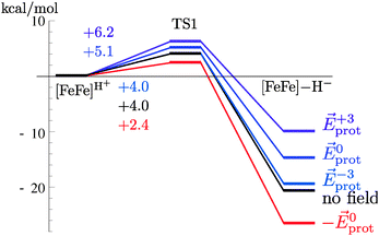 Energy profiles for the reaction [FeFe]H+ → TS1 → [FeFe] − H− for different field strengths. The barriers are given in kcal mol−1.