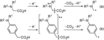 Oxidative decarboxylation of carboxylic acids bearing an amino group.