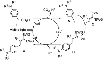 Plausible reaction pathway.