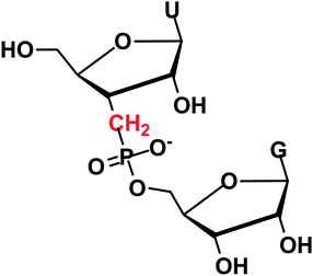 RNA with a 3′ methylenephosphonate linkage.