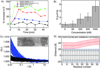 Interaction of monomeric hIAPP with SLBs. (A) Percentage increase in D of different RhoPE labelled SLBs upon treatment with unlabelled hIAPP (1 μM). (B) hIAPP concentration dependent increase in D of the RhoPE labelled DOPC : DPPC (1 : 1) bilayer. (C) ACFs of the diffusing ‘carpet’ of AR6G-hIAPP (blue, corresponds to the bright region of the TIRF image shown in the inset) and background (black, corresponds to the dark region of the same image). In the inset, the TIRF image shows that AR6G-hIAPP carpets only form on the unlabelled DOPC SLB top (bright), not on the non-membrane region (dark). (D) The predicted orientation of hIAPP over a membrane by MCPep shows peptide insertion to be unfavorable.