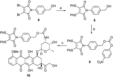 Synthesis of thiomaleamate–PABC–DOX construct 10: (a) PhSH, NEt3, CH2Cl2, 98%; (b) PNPC, py, CH2Cl2, 72%; (c) DOX·HCl, NEt3, NMP, 99%.