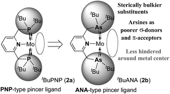 ANA-type pincer ligand: introduction of arsine moieties into the pincer ligand.