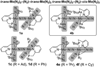 Comparison of structures of dinitrogen-bridged dimolybdenum–dinitrogen complexes.