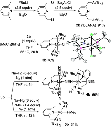 Preparation of molybdenum–dinitrogen complexes bearing ANA-type pincer ligands.