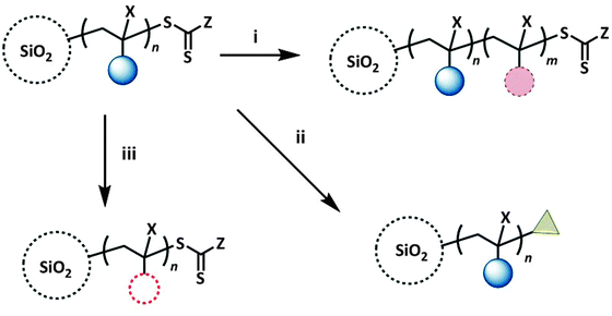 Post-polymerization modification of hybrid nanoparticles: (i) chain extension of RAFT-grafted polymer chain; (ii) modification of thiocarbonylthio end-group; (iii) modification of grafted polymer chain. X represents H or Me, n and m represent the number of monomer repeat units of the first and second block respectively.