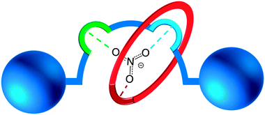 Schematic representation of a nitrate templated [2]rotaxane, with two hydrogen bonding recognition sites in the axle (blue and green) and one in the macrocycle (red), forming a complementary binding site for the trigonal nitrate anion between the interlocked components.