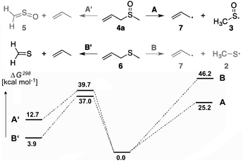 Homolytic bond cleavage vs. concerted propene elimination from allylmethyl sulfoxide (4a) and allylmethyl sulfide (6); free energies at 298 K in kcal mol−1 computed at the G4 level of theory.
