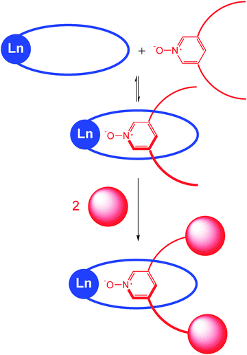 Schematic representation for the preparation of the target lanthanide-[2]rotaxane.