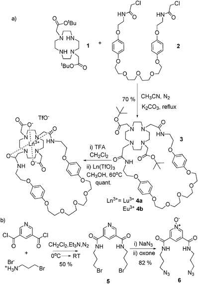 Synthesis of (a) lanthanide macrocyclic complexes and (b) bis-azide pyridine N-oxide thread component.