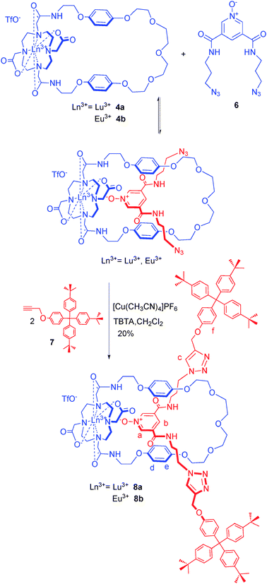 Synthesis of lanthanide [2]rotaxanes 8a and 8b. TBTA = (tris-[(1-benzyl-1H-1,2,3-triazol-4-yl)methyl]amine).