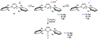 Formation and further reaction of the [IPrH][CuClX] species.