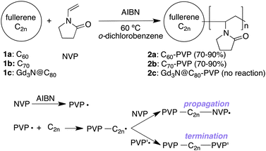 Preparation of fullerene–PVP copolymers by the direct free-radical copolymerization of NVP and C60, C70, or Gd3N@C80. AIBN (0.075–0.25 equiv.) was used as a radical initiator. The initial ratio of C2n and NVP considered in the reaction was 1 : 100, 200, 300, 400, or 500.