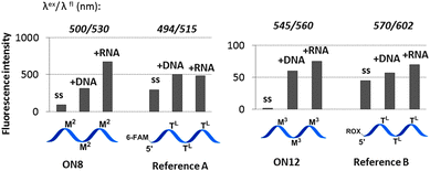 Representative fluorescence intensities of the probes (ss) and duplexes compared to 5′-labelled LNA/DNA references. Spectra were obtained in a medium salt buffer at 19 °C using 1.0 μM oligonucleotides. Reference A: 5′-(6-FAM)-d(TGC ACT̲L CTA TG T̲L CTG TAT̲L CAT)-3′; reference B: 5′-ROX-d(TGC ACT̲L CTA TG T̲L CTG TAT̲L CAT)-3′. TL = LNA-T nucleotide.