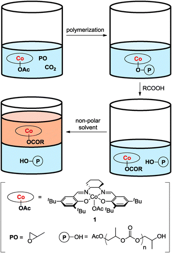 Schematic representation of the catalyst separation in the copolymerization of propylene oxide with CO2.