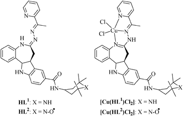 Structures of ligands and their copper(ii) complexes.