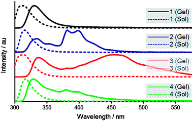 Fluorescence emission of gels (solid) and dilute solutions (dashed).