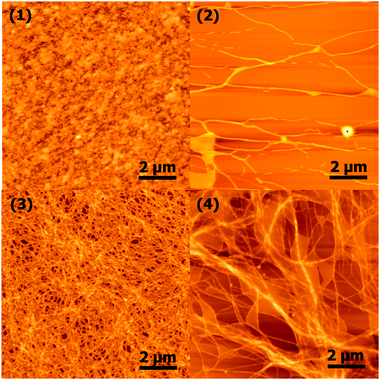 Atomic force microscopy images of nanoscale morphology.