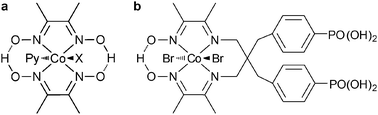 (a) Structure of [CoX(dimethylglyoximato)2(pyridine)] with X = CN− (Vit B12 model) and X = Cl− (H2 evolution catalyst). (b) Cobaloxime [Co] with phosphonic acid anchors for immobilisation.