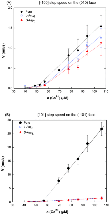 Dependence of step velocities on Ca2+ activities in pure, l-Asp6-, and d-Asp6-containing solutions. (A) [1̄00] quadruple unit-height step on (010) face in pure, 2 μM l-Asp6-, and 2 μM d-Asp6-containing systems and (B) [1̄01̄] double unit-height step on (1̄01) face in pure, 0.3 μM l-Asp6-, and 0.3 μM d-Asp6-containing systems.