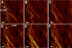Sequential in situ AFM images showing the effects of the concentration of l-Asp6 on the growth of the [1̄00] step on the (01̄0) face at a fixed supersaturation of σ = 0.93. Note that the (010) face and the (01̄0) face are equivalent by the monoclinic symmetry. Morphologies of the hillocks observed in the images (A–F) are from solution with: (A) pure (0 μM l-Asp6), (B) 0.3 μM l-Asp6 at solution flow time, t = 23 min, (C) 0.5 μM l-Asp6 at t = 21 min, (D) 2 μM l-Asp6 at t = 24 min, (E) 3 μM l-Asp6 at t = 27 min, and (F) 5 μM l-Asp6 at t = 30 min. Scale bars are 100 nm.