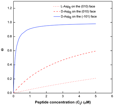 Langmuir adsorption curves of surface Asp6 coverage (θ) vs. Asp6 concentration (Ci) in COM solution. The curves are drawn using the values of Langmuir constants (A2) of Asp6 on (010) and (1̄01) faces obtained from the fitting of eqn (1) to the experimental data of Vi/V0 of COM crystal growth shown in Fig. 3. Solid line corresponds to d-Asp6 on the (1̄01) face, the dashed line represents (d-Asp)6 on the (010) face, and the dotted line represents l-Asp6 on the (010) face.
