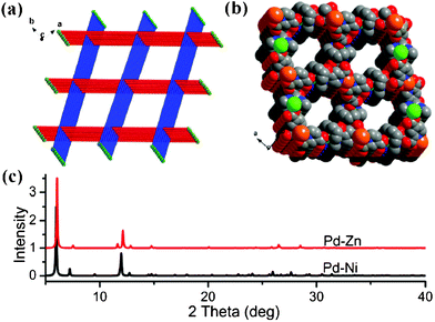 (a) View showing the stacking of linear chains. (b) View of 1D channels present in the structure [M(cyclam)Pd(2,4-pydc)2]n (H atoms were omitted for clarity, C, gray; O, red; N, blue; Pd, orange; M, green.) (c) PXRD for 1 and 2 depicting the isostructural relationship.